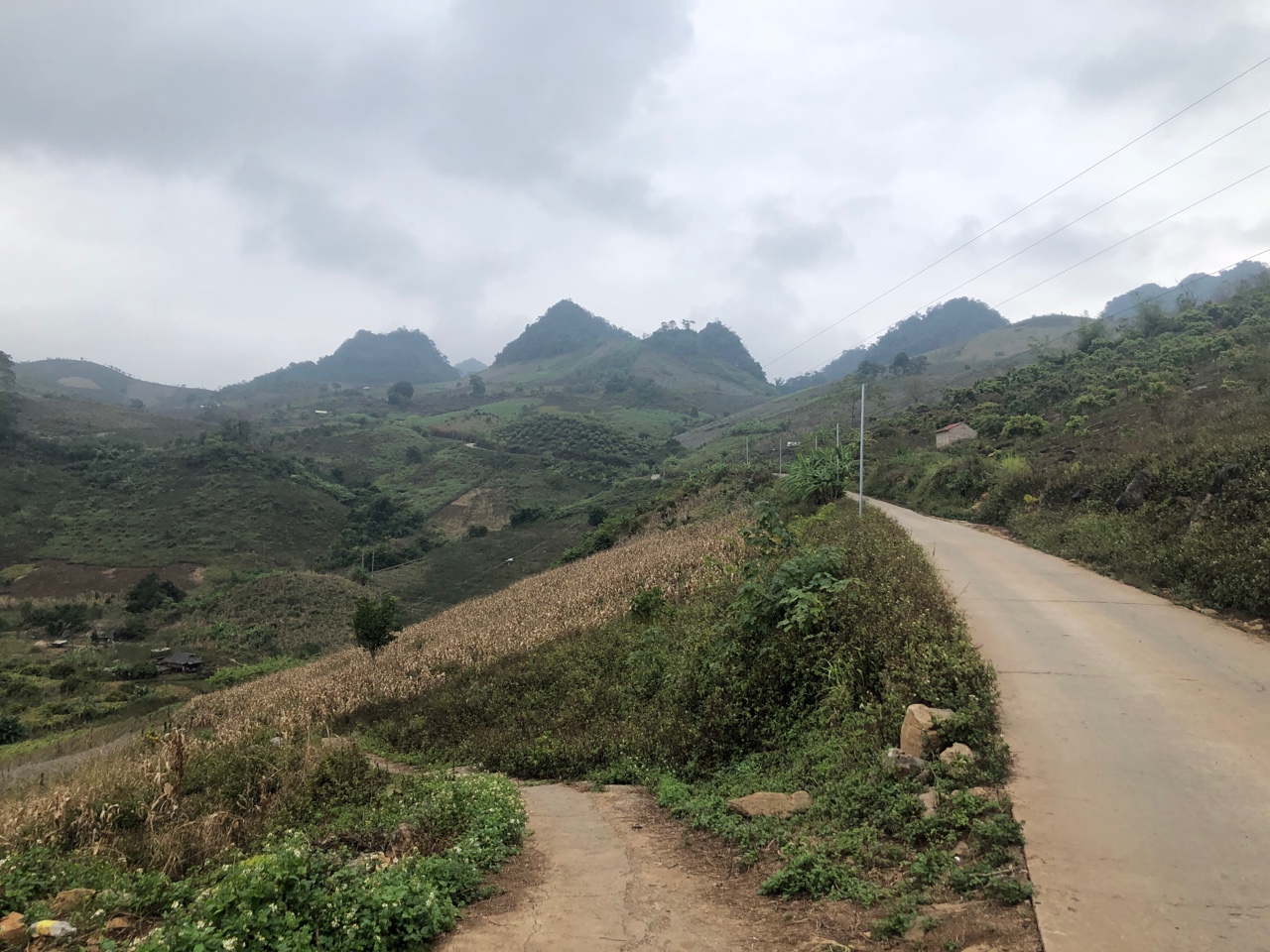 Review of Moc Chau Off Road Cycling Tour 7 Days – A Great Cycling Adventure